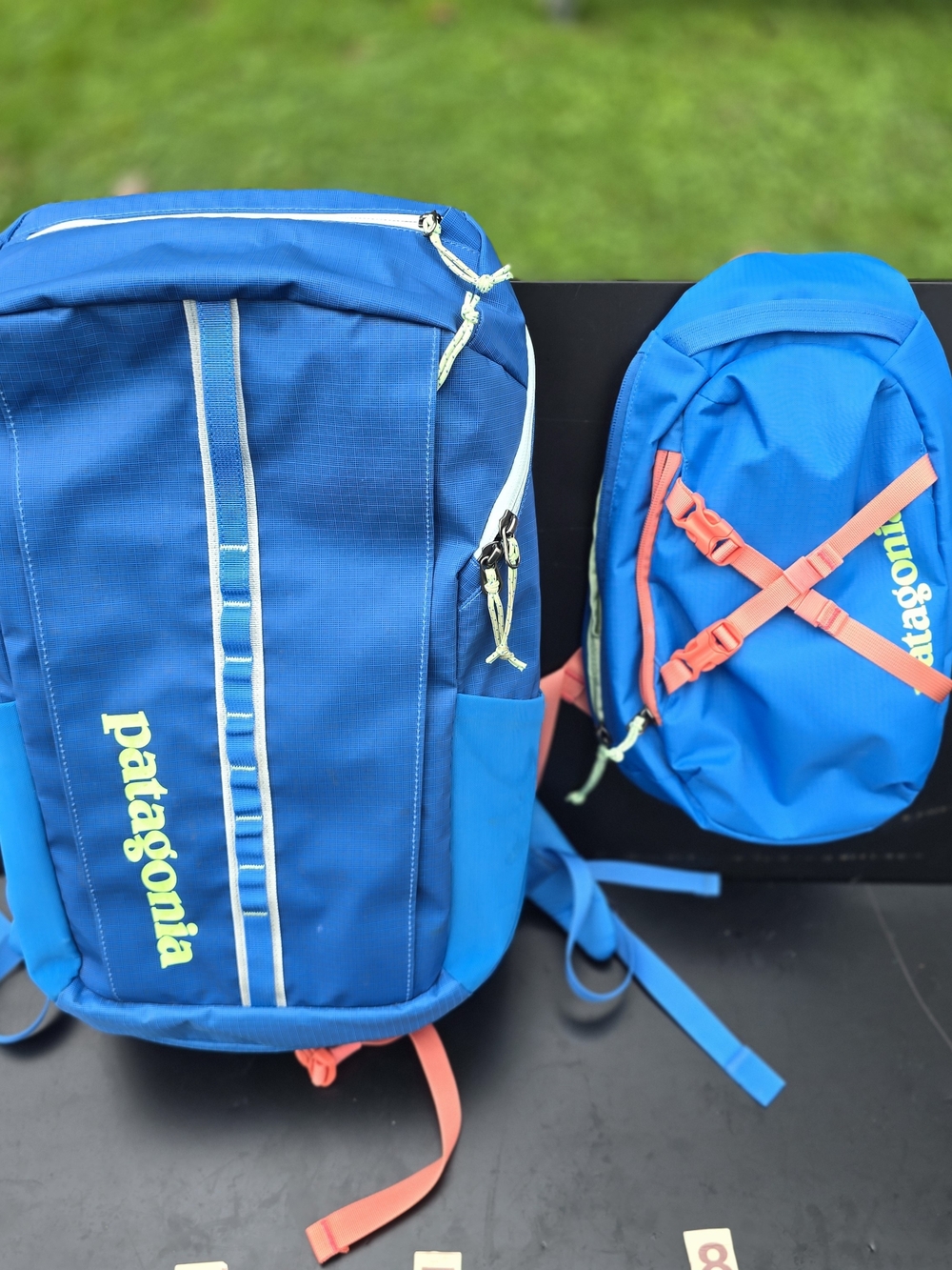 Patagonia Blackhole Technical Backpack - Atom 8 Lightweight Daypack